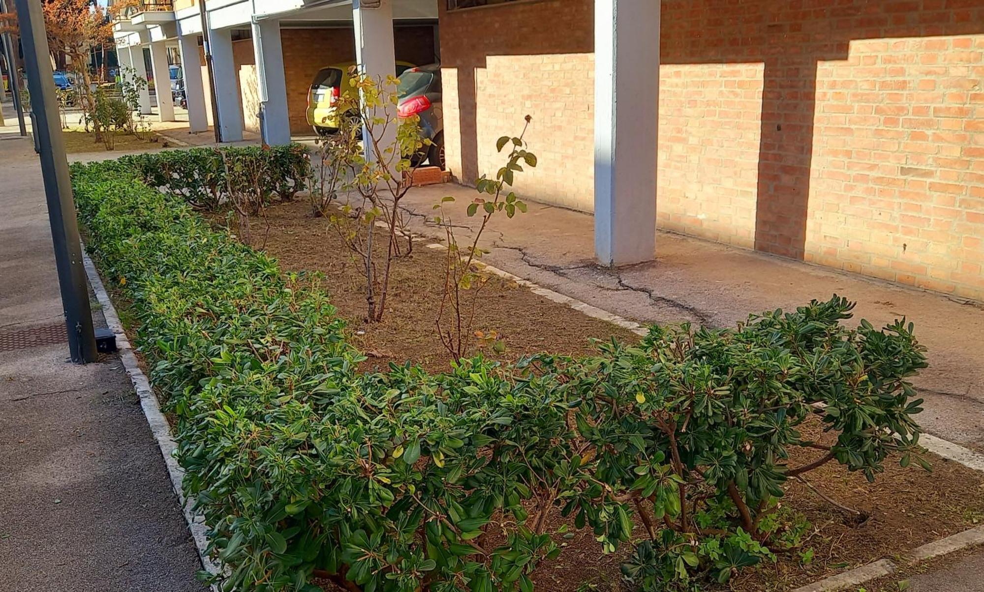 La Casa Di Barbanella Lägenhet Grosseto Exteriör bild