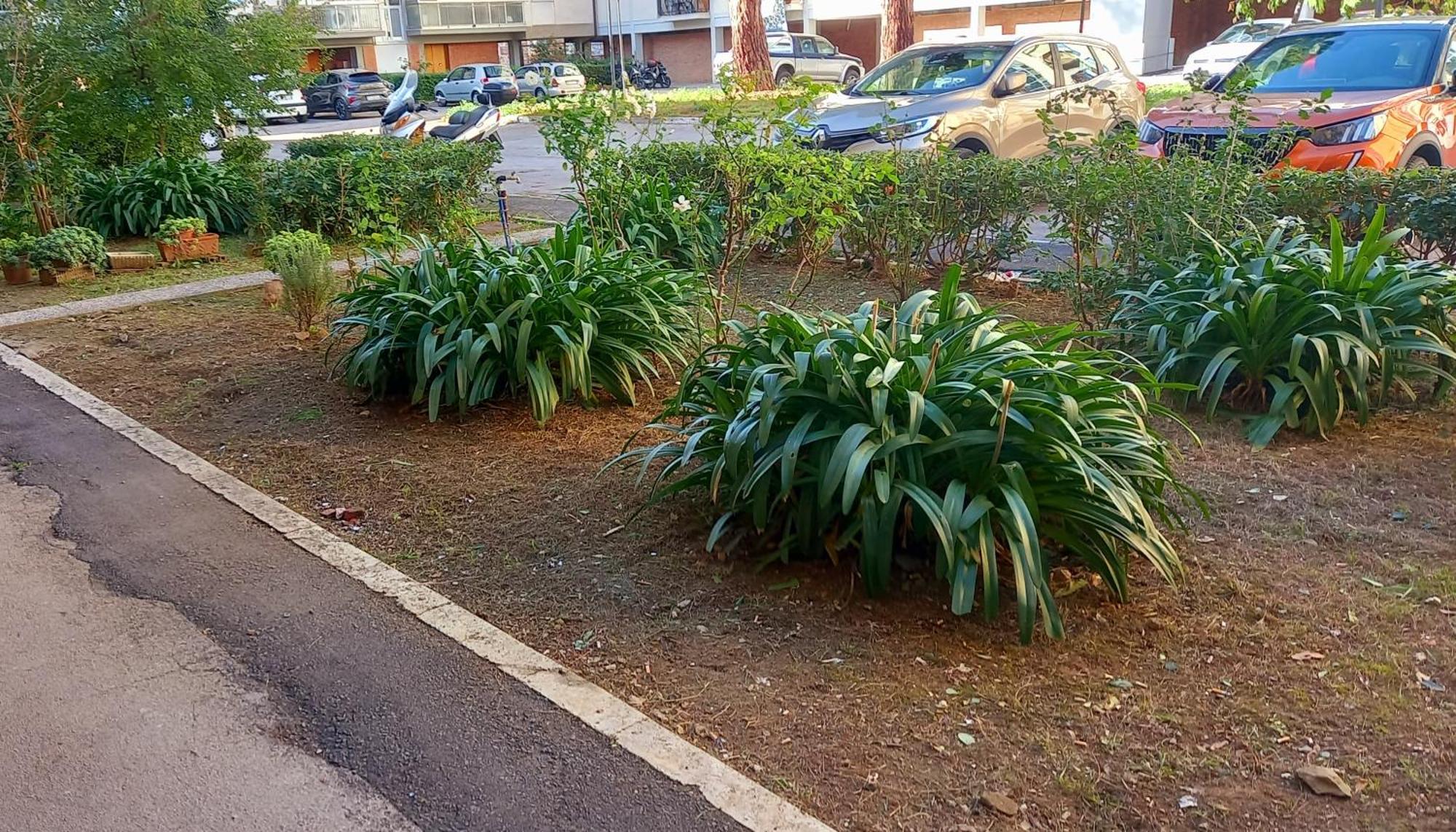 La Casa Di Barbanella Lägenhet Grosseto Exteriör bild